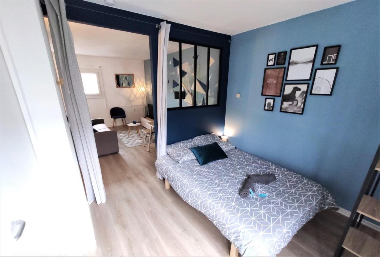 Apartment L'eglantine - Proche Centre - Free Parking - Airbus Toulouse