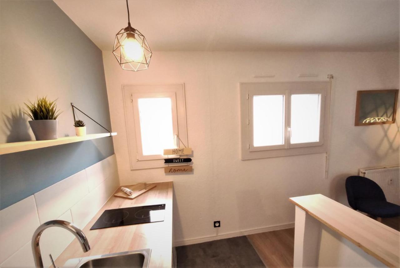 Apartment L'eglantine - Proche Centre - Free Parking - Airbus
